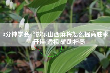 3分钟学会“微乐山西麻将怎么提高胜率	”开挂(透视)辅助神器