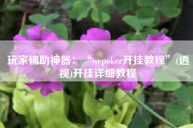 玩家辅助神器：“wepoker开挂教程”(透视)开挂详细教程