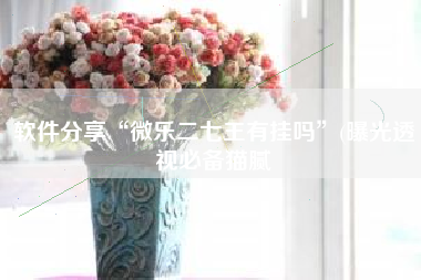 软件分享“微乐二七王有挂吗	”(曝光透视必备猫腻