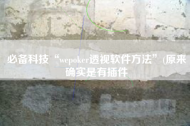 必备科技“wepoker透视软件方法”(原来确实是有插件