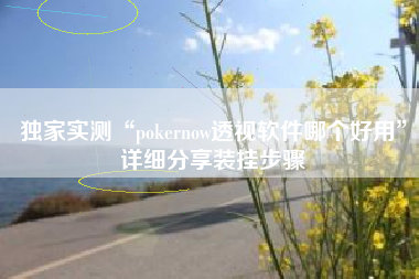 独家实测“pokernow透视软件哪个好用”详细分享装挂步骤