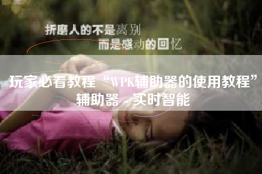 玩家必看教程“WPK辅助器的使用教程	”辅助器 - 实时智能