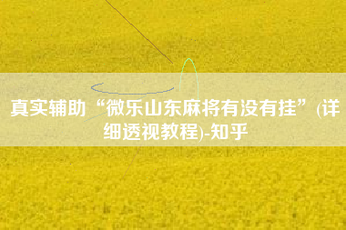 真实辅助“微乐山东麻将有没有挂	”(详细透视教程)-知乎