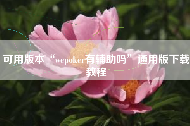 可用版本“wepoker有辅助吗	”通用版下载教程