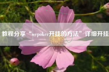 教程分享“wepoker开挂的方法	”详细开挂
