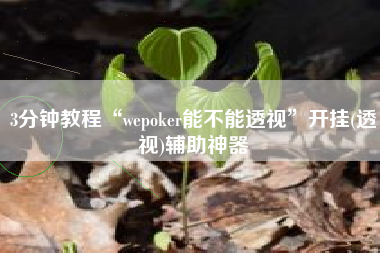 3分钟教程“wepoker能不能透视	”开挂(透视)辅助神器