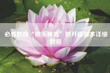 必看教程“微乐神器	”附开挂脚本详细教程