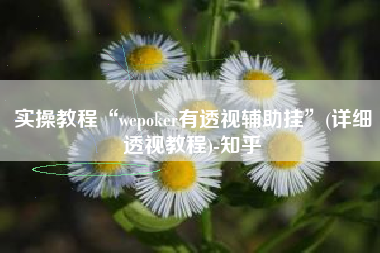 实操教程“wepoker有透视辅助挂	”(详细透视教程)-知乎