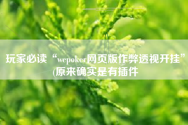 玩家必读“wepoker网页版作弊透视开挂”(原来确实是有插件