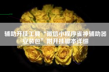 辅助开挂工具“微信小程序雀神辅助器安装包	”附开挂脚本详细