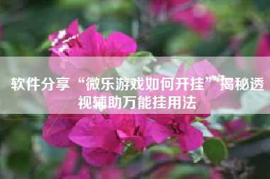 软件分享“微乐游戏如何开挂”揭秘透视辅助万能挂用法