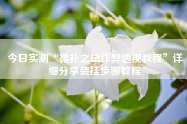 今日实测“德扑之星作弊透视教程	”详细分享装挂步骤教程