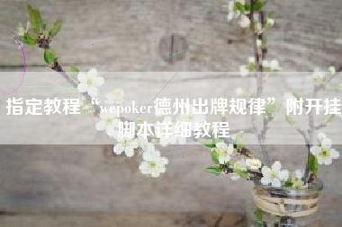 指定教程“wepoker德州出牌规律”附开挂脚本详细教程