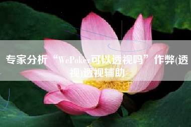专家分析“WePoker可以透视吗	”作弊(透视)透视辅助