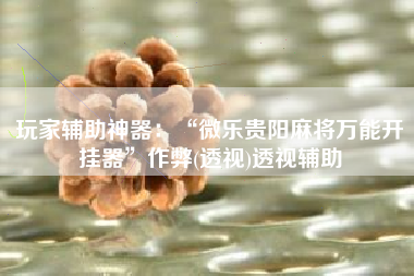 玩家辅助神器：“微乐贵阳麻将万能开挂器	”作弊(透视)透视辅助