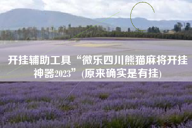 开挂辅助工具“微乐四川熊猫麻将开挂神器2023”(原来确实是有挂)