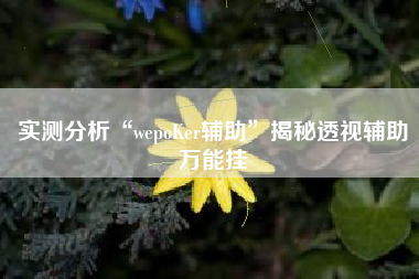 实测分析“wepoKer辅助	”揭秘透视辅助万能挂