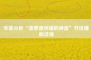 专家分析“菠萝德州辅助神器	”开挂辅助详细