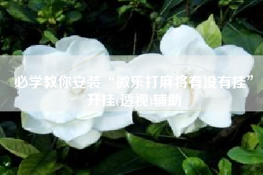 必学教你安装“微乐打麻将有没有挂	”开挂(透视)辅助