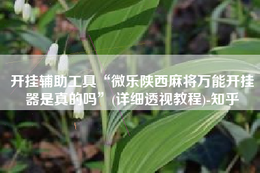 开挂辅助工具“微乐陕西麻将万能开挂器是真的吗”(详细透视教程)-知乎