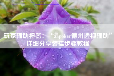 玩家辅助神器：“aapoker德州透视辅助	”详细分享装挂步骤教程