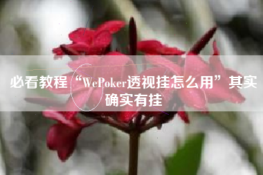 必看教程“WePoker透视挂怎么用	”其实确实有挂