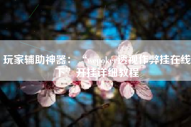玩家辅助神器：“wepoker透视作弊挂在线下”开挂详细教程
