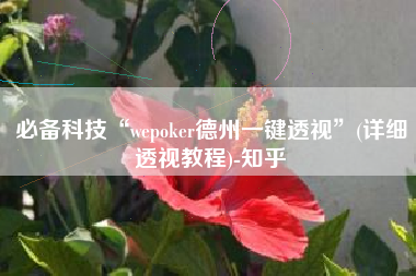 必备科技“wepoker德州一键透视”(详细透视教程)-知乎