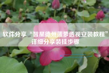 软件分享“智星德州菠萝透视安装教程”详细分享装挂步骤