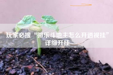 玩家必搜“微乐斗地主怎么开透视挂”详细开挂