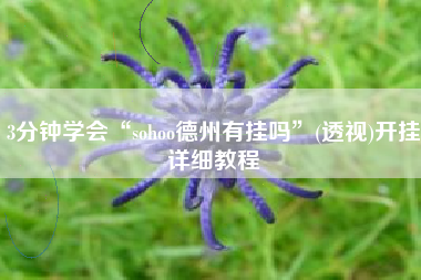 3分钟学会“sohoo德州有挂吗”(透视)开挂详细教程