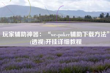 玩家辅助神器：“we-poker辅助下载方法”(透视)开挂详细教程