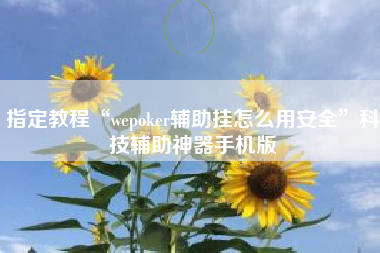 指定教程“wepoker辅助挂怎么用安全	”科技辅助神器手机版