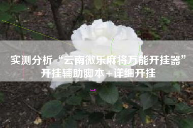 实测分析“云南微乐麻将万能开挂器	”开挂辅助脚本+详细开挂