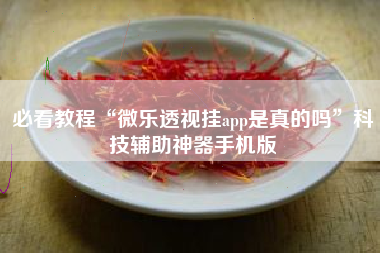 必看教程“微乐透视挂app是真的吗	”科技辅助神器手机版
