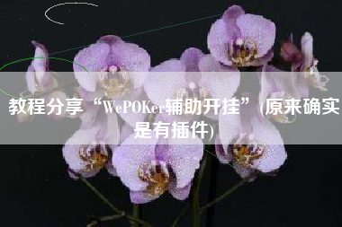 教程分享“WePOKer辅助开挂”(原来确实是有插件)