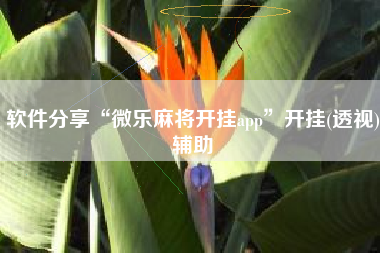 软件分享“微乐麻将开挂app	”开挂(透视)辅助