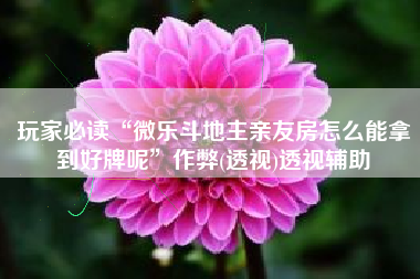 玩家必读“微乐斗地主亲友房怎么能拿到好牌呢”作弊(透视)透视辅助