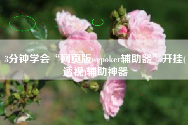 3分钟学会“网页版wepoker辅助器”开挂(透视)辅助神器