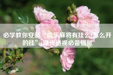 必学教你安装“微乐麻将有挂么?怎么开的挂”(曝光透视必备猫腻
