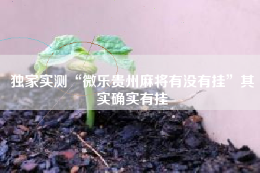 独家实测“微乐贵州麻将有没有挂”其实确实有挂