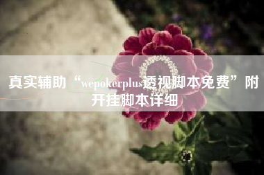 真实辅助“wepokerplus透视脚本免费”附开挂脚本详细