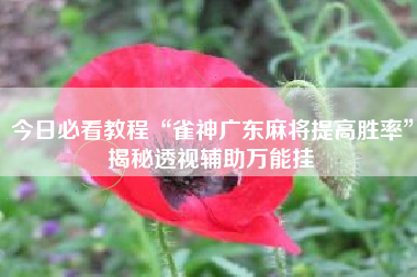 今日必看教程“雀神广东麻将提高胜率”揭秘透视辅助万能挂