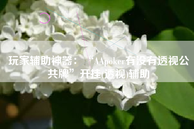 玩家辅助神器：“AApoker有没有透视公共牌”开挂(透视)辅助