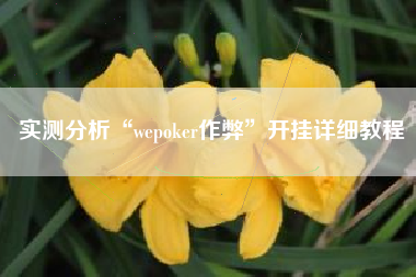 实测分析“wepoker作弊”开挂详细教程