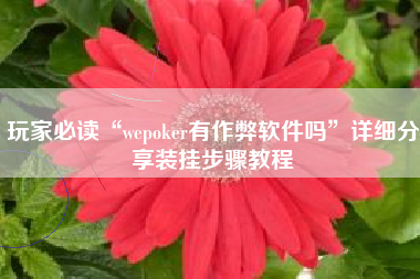 玩家必读“wepoker有作弊软件吗	”详细分享装挂步骤教程
