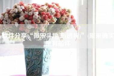 软件分享“微乐斗地主(透视)”(原来确实是有插件