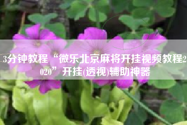 3分钟教程“微乐北京麻将开挂视频教程2020”开挂(透视)辅助神器