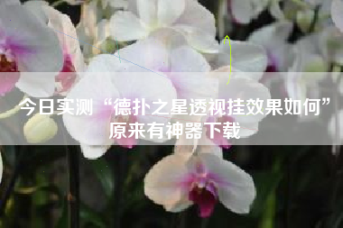 今日实测“德扑之星透视挂效果如何”原来有神器下载