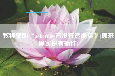 教程辅助“pokernow有没有透视挂”(原来确实是有插件)